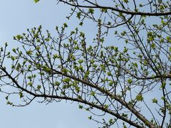 -名豪品鲜荟(云亭店)