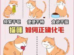 -守诺宠物医院·眼科· 特色牙科·异宠专科(虹口店)