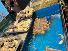 -魏铭鱼头捞饭(晋阳路店)