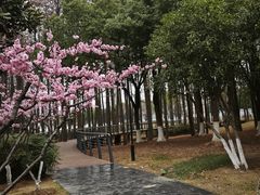 -月湖风景区