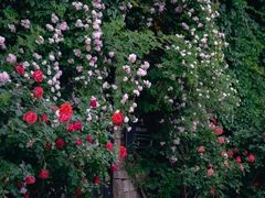 -元大都城垣遗址公园