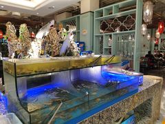 水产区-梅园国际大酒店·自助餐厅(光明港店)