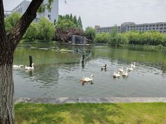 -杭州师范大学(下沙校区)