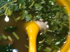 -小杨生煎(黄河路店)