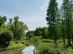 -贡湖湾湿地公园