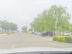 -敕勒川草原