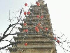 -北京石刻艺术博物馆(五塔寺)