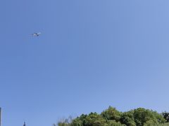 -南翔镇银翔湖公园