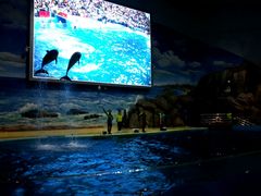 -福州罗源湾海洋世界旅游区