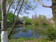 -西溪国家湿地公园