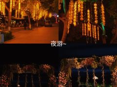 -天目湖山水园