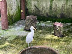 -吉隆坡雀鸟公园