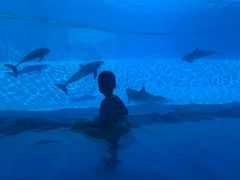 -横琴湾水世界