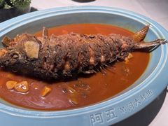 -阿五黄河大鲤鱼(纬三路店)