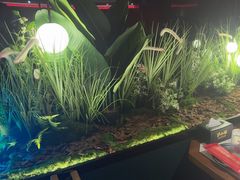 -沪小胖·小龙虾·蓝龙王(八佰伴店)
