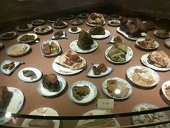 -陕西自然博物馆