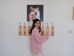 -柴犬小屋·柴餐厅·狗咖食堂(金鼎广场店)