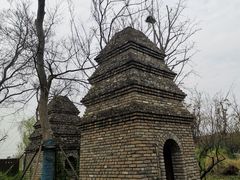 -广富林郊野公园