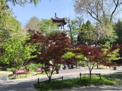 -莲花池公园