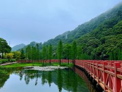 -广州市石门国家森林公园