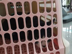 -安安宠医·臻爱宠物医院·宠保定点(营门口路分院)