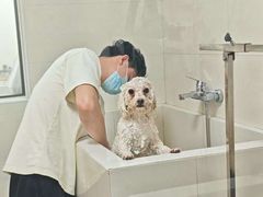 -悠尼宠物·独立低压伊珊娜洗护·美容·寄养(兰谷路店)