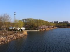 -大兴滨河森林公园