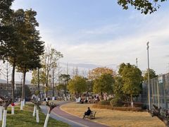 -两河城市森林公园