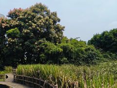 -成都市活水公园