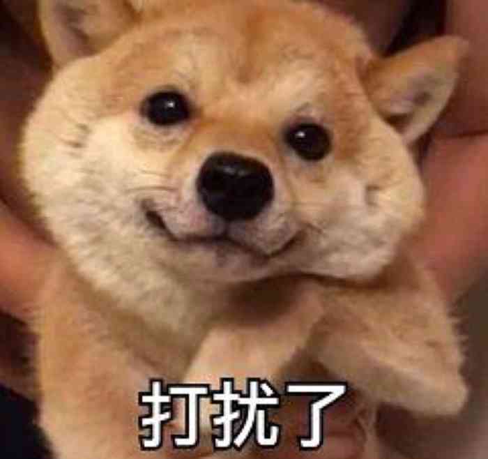 首先,老板娘人非常好,加了微信后,没事就骚扰一下老板,点杯奶茶喝喝