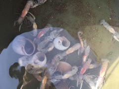 -东戴河风景区-止锚湾