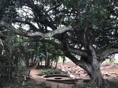 -硇洲岛旅游区