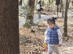 -紫金山山顶公园