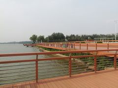 -丁香湖公园