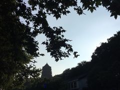 -西湖外事游船(花港观鱼码头)