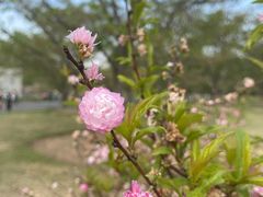 -上海辰山植物园