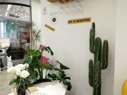 -杨丹国际美学肌研所