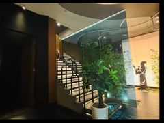 -新紫霞养生·影院足道·SPA(金山区店)