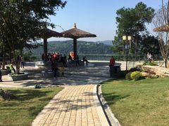 -铁山坪森林公园