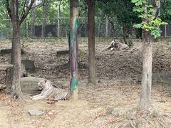 -常州淹城野生动物世界