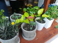 -铃木食堂(帽儿胡同店)