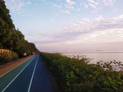 -贡湖湾湿地公园