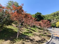 -广州市帽峰山景区
