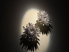 -Dragonfly悠庭·按摩Spa(静安嘉里中心店)