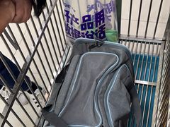 -翊宠yipet猫狗购宠庄园犬舍•猫舍