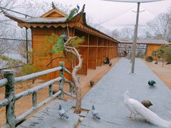 -万佛湖风景区