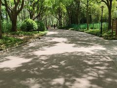 -黄兴公园