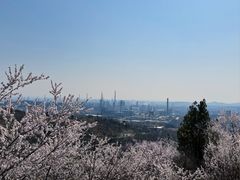 -白水寺森林公园