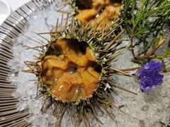-黑木原精致料理·铁板烧