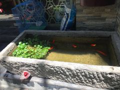 -福瑞记老孙头biangbiang面(新生路店)